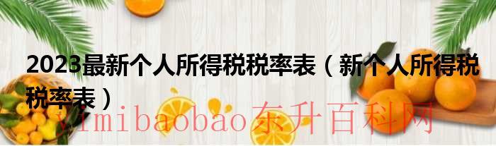 2023最新个人所得税税目（2023个人所得税税率表）