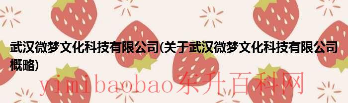 武汉微梦文化科技有限公司（武汉微梦文化科技有限公司 张培文）
