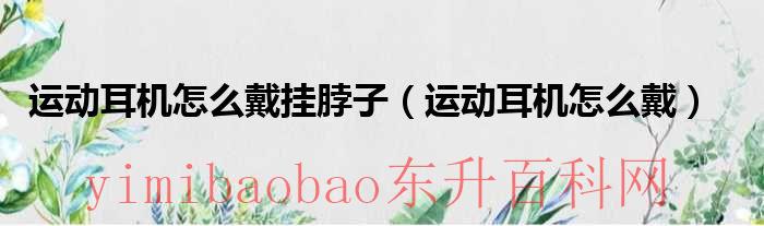 运动耳机挂脖好还是入耳式好（运动耳机挂脖好还是入耳式）