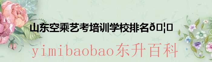 山东空乘培训机构有哪些 山东空乘培训机构哪家好?