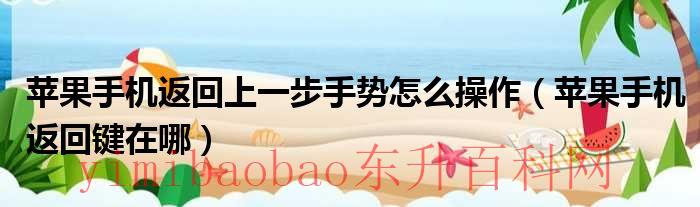 苹果手机返回上一页怎么操作（苹果手机返回上一步手势怎么改成右边）