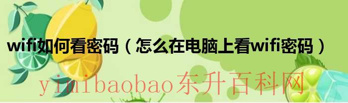 wifi如何看密码（怎么在电脑上看wifi密码）