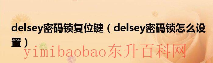 delsey密码锁复位键在哪（delsey密码锁忘记密码）