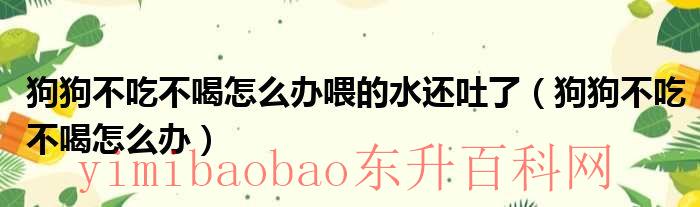 狗不吃不喝怎么办（狗狗不吃不喝怎么办喂什么药好）