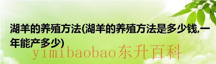 湖羊的养殖方法 湖羊如何养殖