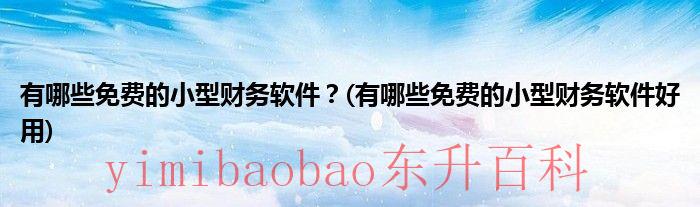 小的财务软件有哪些 小型财务软件有哪些