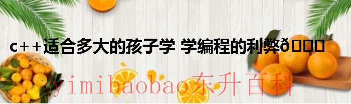 多少岁开始学编程 几岁学c++比较好