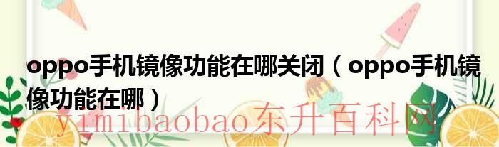 oppo手机的镜像配置在哪里找（oppo手机的镜像功能）