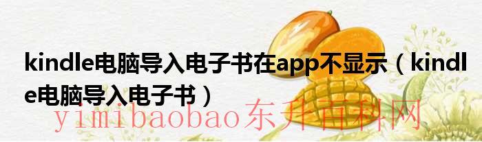 kindle电脑导入电子书在app不显示（kindle怎么导入电子书）