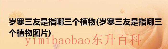 岁寒三友是指哪三个数字 岁寒三友是指哪三个植物