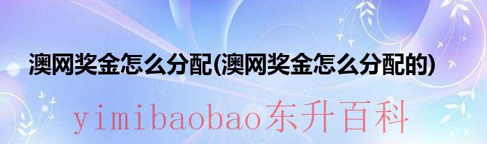 澳网16强奖金和国家奖金 澳网16强奖金和积分多少