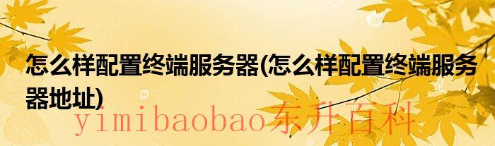 终端服务器安装包 终端服务器的安装步骤