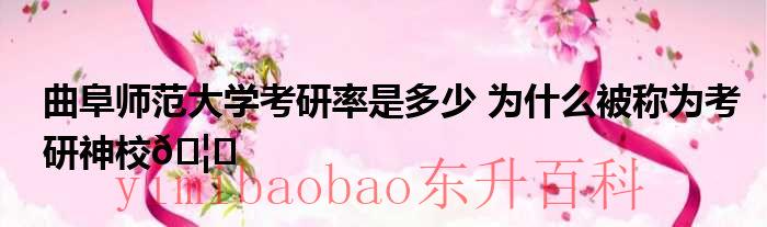 曲阜师范大学考研好考吗 曲阜师范大学考研率是考本省还是外省多