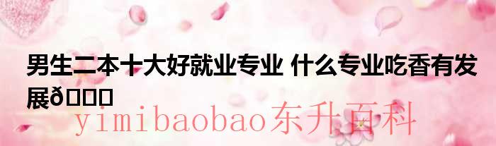 二本男生最吃香的十大专业 二本大学男生学什么专业好