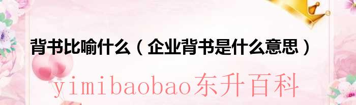企业背书的意思 企业说的背书是什么意思