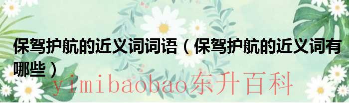 保驾护航替换词 保驾护航 近义