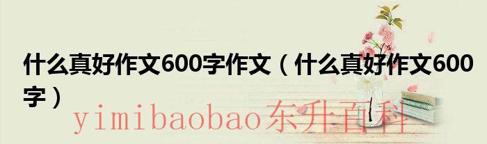 什么真好作文600字写人 什么真好作文600字作文怎么写