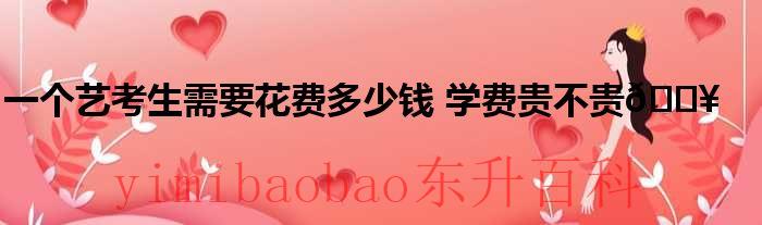一个艺考生需要什么条件 一个艺考生需要花费多少钱美术