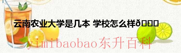 云南农业大学是一本院校吗 云南农业大学是几本学校