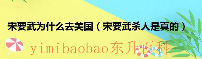 宋要武打死多少人 宋要武为什么去美国当总统
