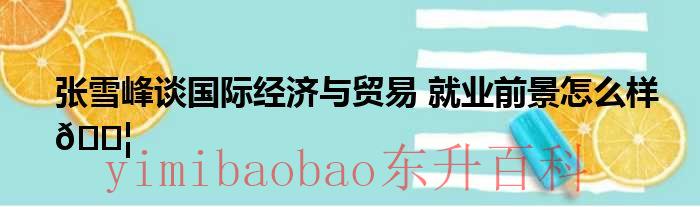 张雪峰谈国际经贸规则 张雪峰谈国际经济与贸易专业考研视频