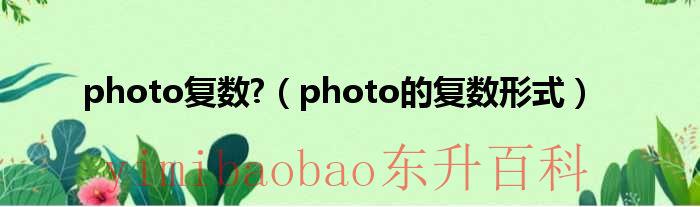 photo复数为什么不加es photo(复数)