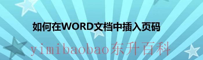 如何在word文档加页码 如何在word文档中添加pdf文件