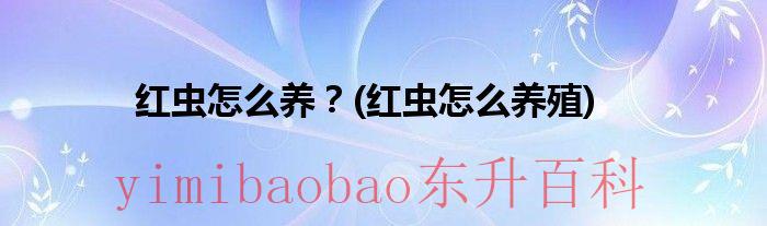 请问红虫怎么养 红虫怎么养?红虫怎么养