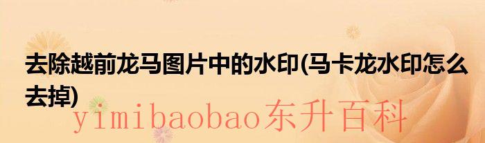 越前龙马表情包 越前龙马搞笑图