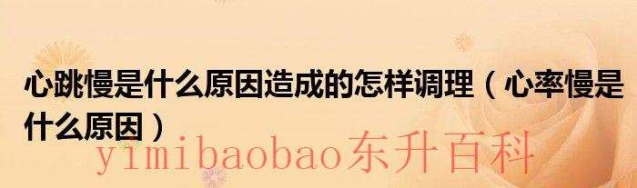 心跳慢是什么原因有三 心跳慢是什么原因分析