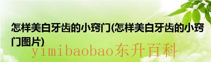 怎么美白牙齿最快 怎么美白牙齿最有效的方法
