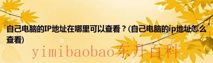 自己电脑ip地址怎么查找 自己电脑ip地址怎么查看