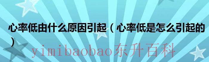 术后血压低心率低什么原因 心率低什么原因导致的