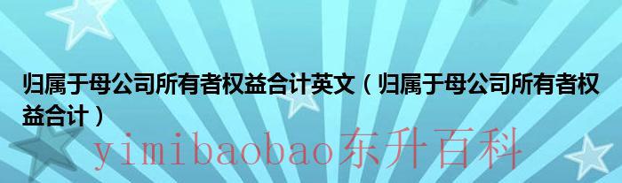 归属于母公司所有者权益 归属于母公司所有者权益是净资产吗