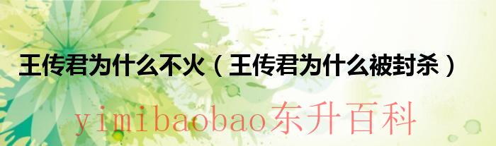 王传君为什么有两个老婆 王传君为什么有钱