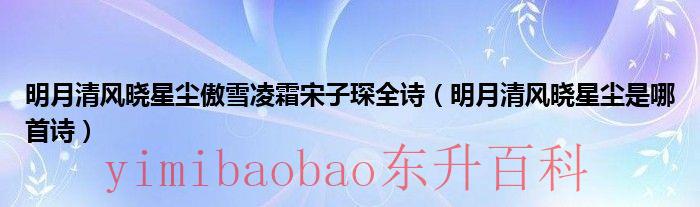 明月清风晓星尘还是清风明月晓星尘 明月清风晓星尘傲雪凌霜宋子琛敛芳瑶琴金光散