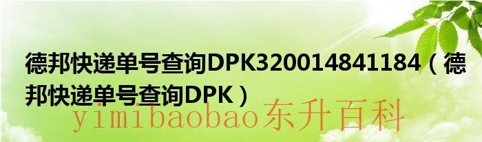 德邦快递单号查询DPk210063 065866 德邦快递单号查询dpk200018393629