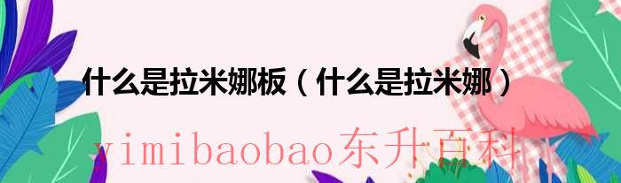 拉米娜官网 拉米娜是什么材质