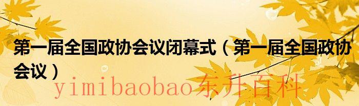 第一届全国政协会议闭幕式（第一届全国政协会议）