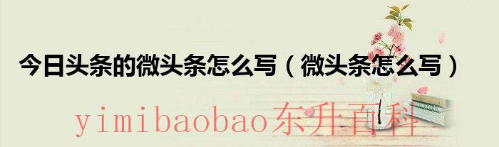 今日头条的微头条怎么赚钱 今日头条的微头条怎么发布